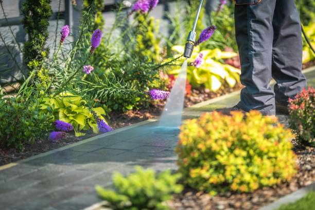 Best Winterizing Services  in Woodfin, NC
