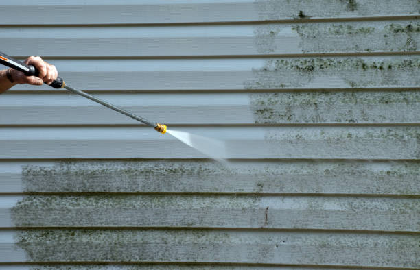 Best Warehouse Cleaning  in Woodfin, NC